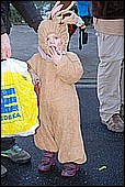 064.jpg