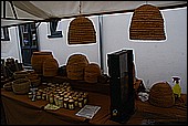 030.jpg