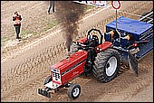 115.jpg