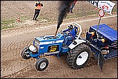 119.jpg