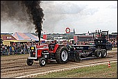 139.jpg