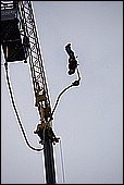 071.jpg