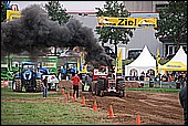 147.jpg