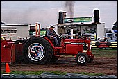 190.jpg