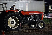 193.jpg