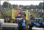 131.jpg