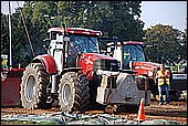 175.jpg