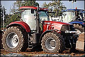176.jpg