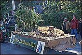 043.jpg