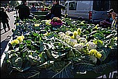 057.jpg